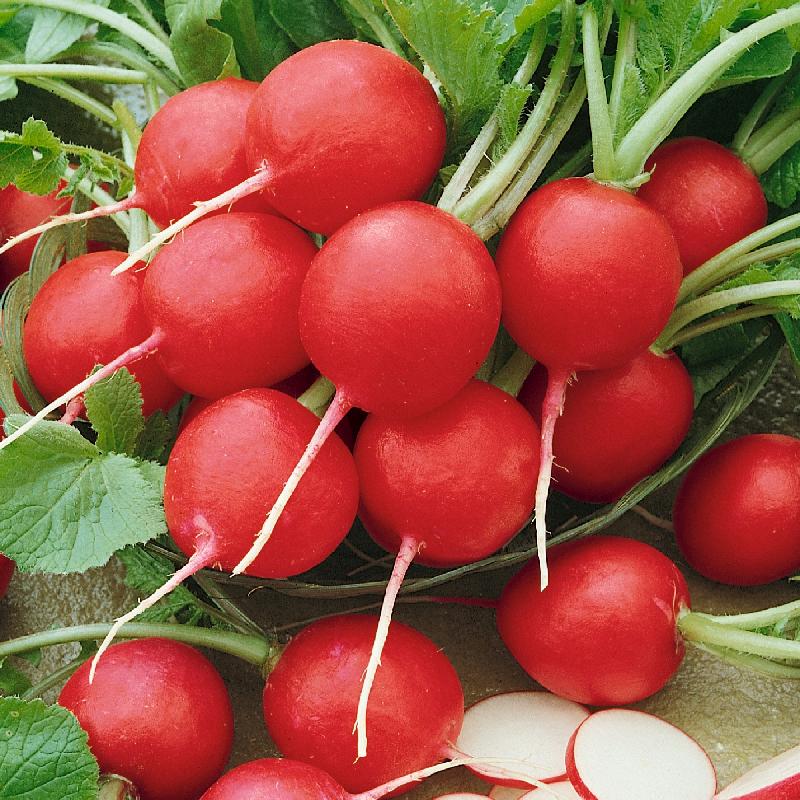 有機櫻桃蘿蔔